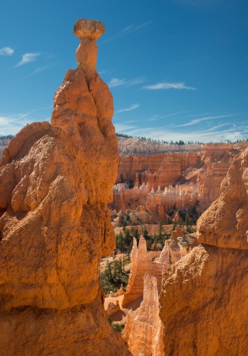 Hoodoo Spire, Bryce Canyon